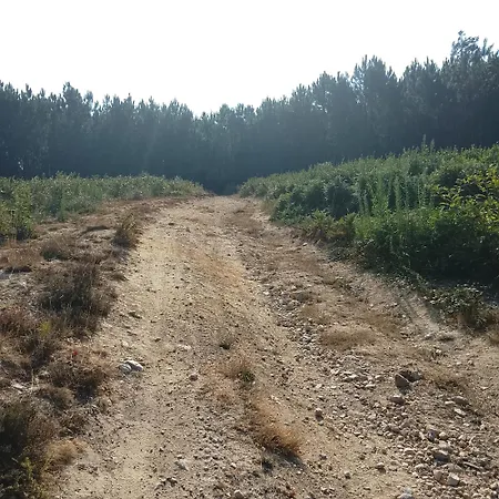 Tatil Evi 444 Monção