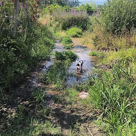 بيت للعطل 444