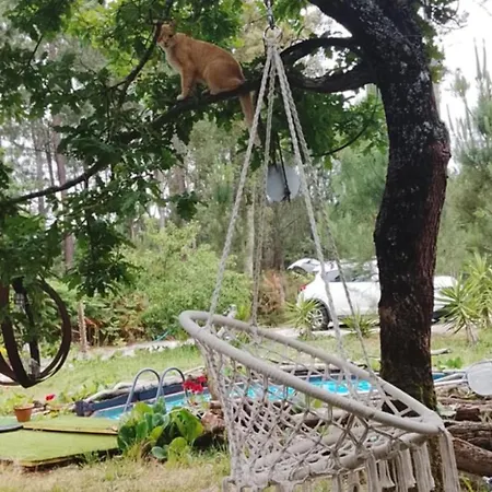 444 * Monção