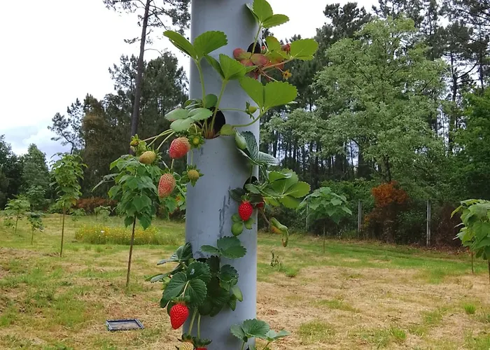 444 Feriehus Monção