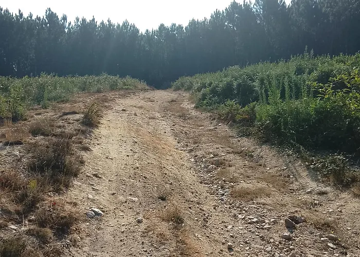 Hébergement de vacances 444 Monção